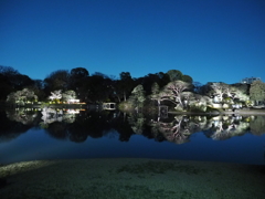 六義園ライトアップ