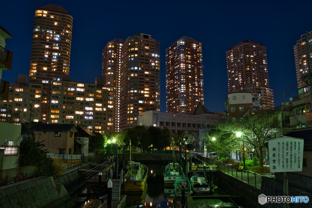 船泊と高層マンション