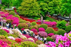 鳥居の勝ち
