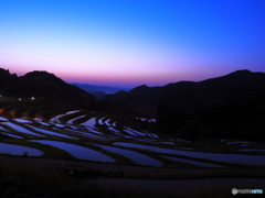 棚田の朝焼け