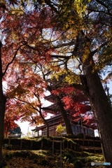 本土寺