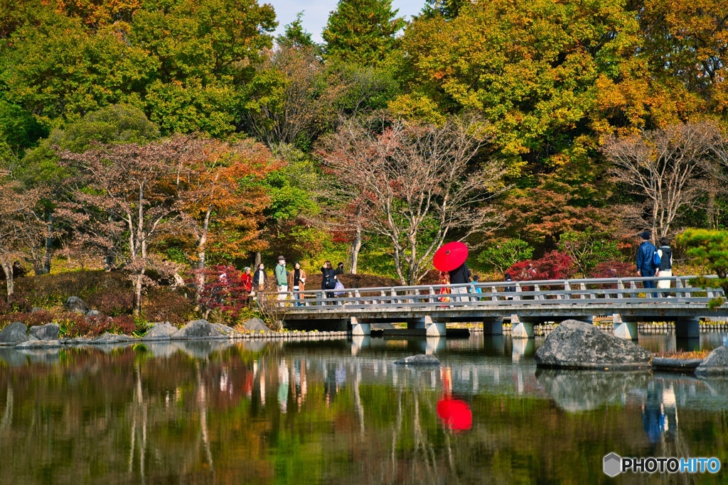 紅葉の中での祝事