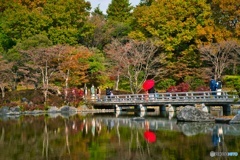 紅葉の中での祝事