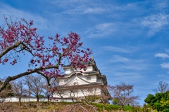 大多喜城