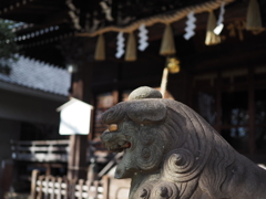 狛犬