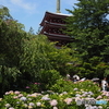 本土寺