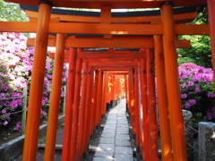 鳥居