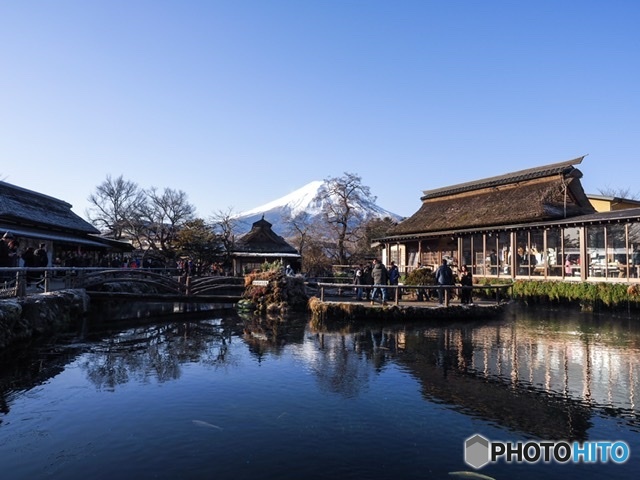 忍野八海と富士山