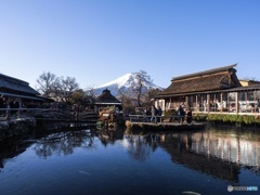 忍野八海と富士山