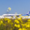 NRT098
