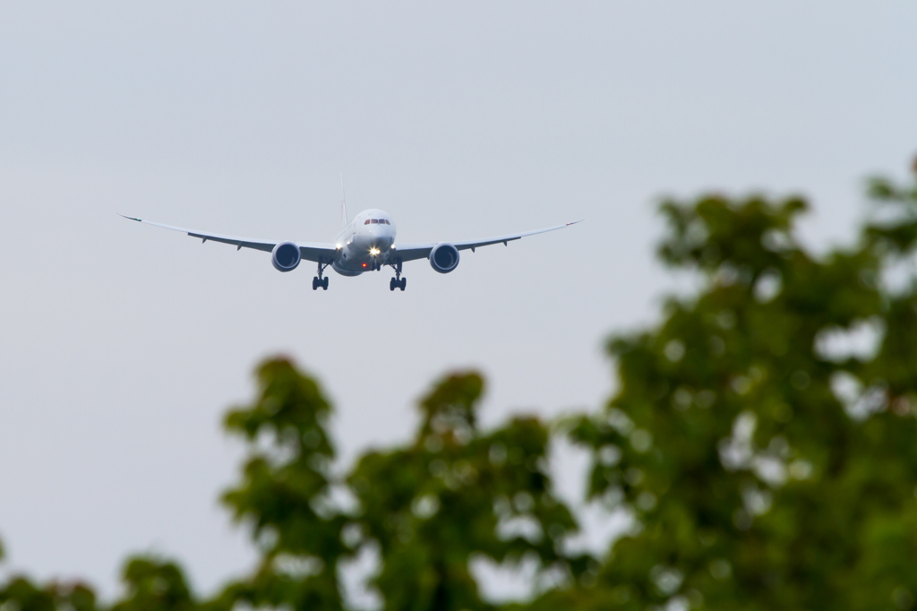 NRT019