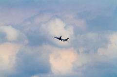 HND018