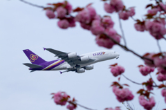 NRT033