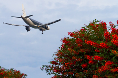 HND029