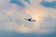 HND020