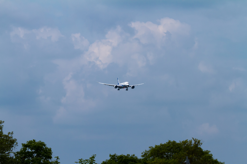 NRT037