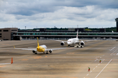 NRT089
