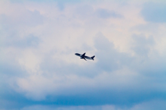 HND019