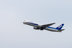 ANA Boeing 767-300(FUK)