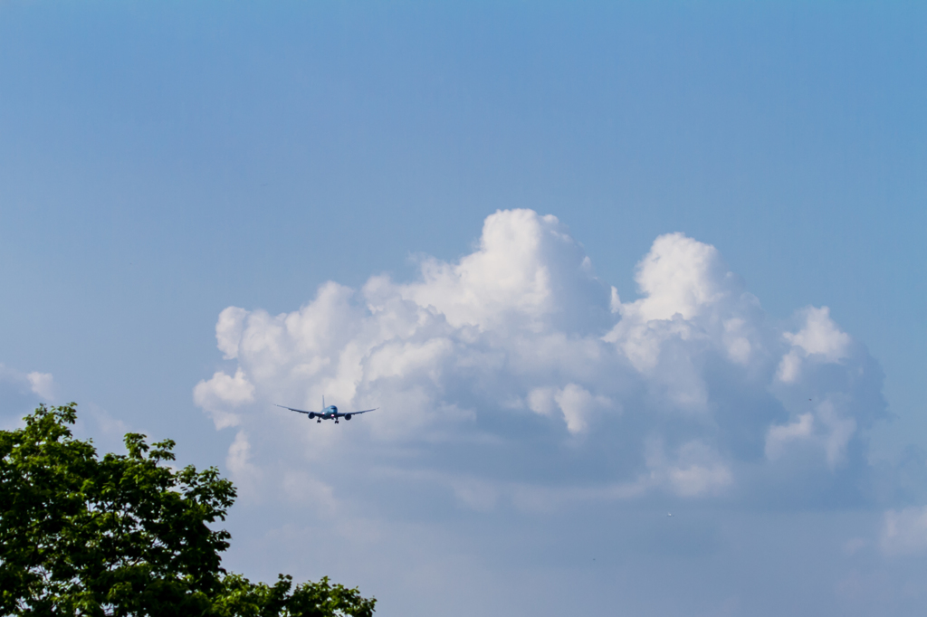 NRT039