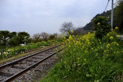 伊予予讃線下灘駅と串駅の間の踏切