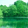緑の湖面