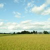 秋の青空