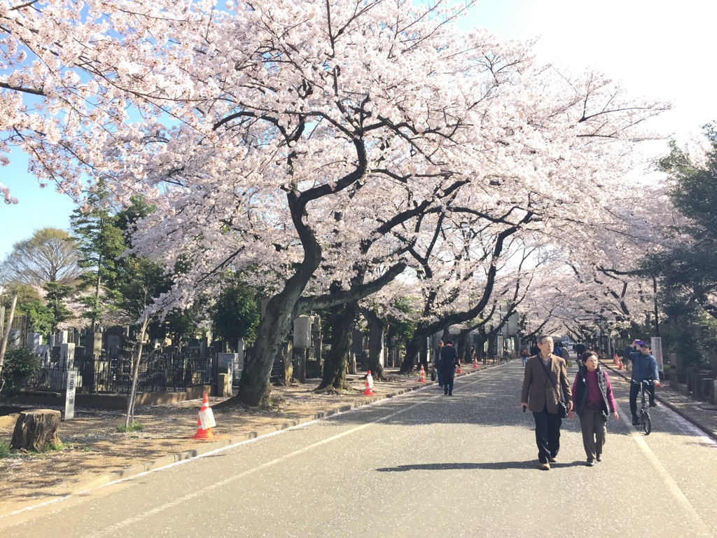 また来年も一緒に。