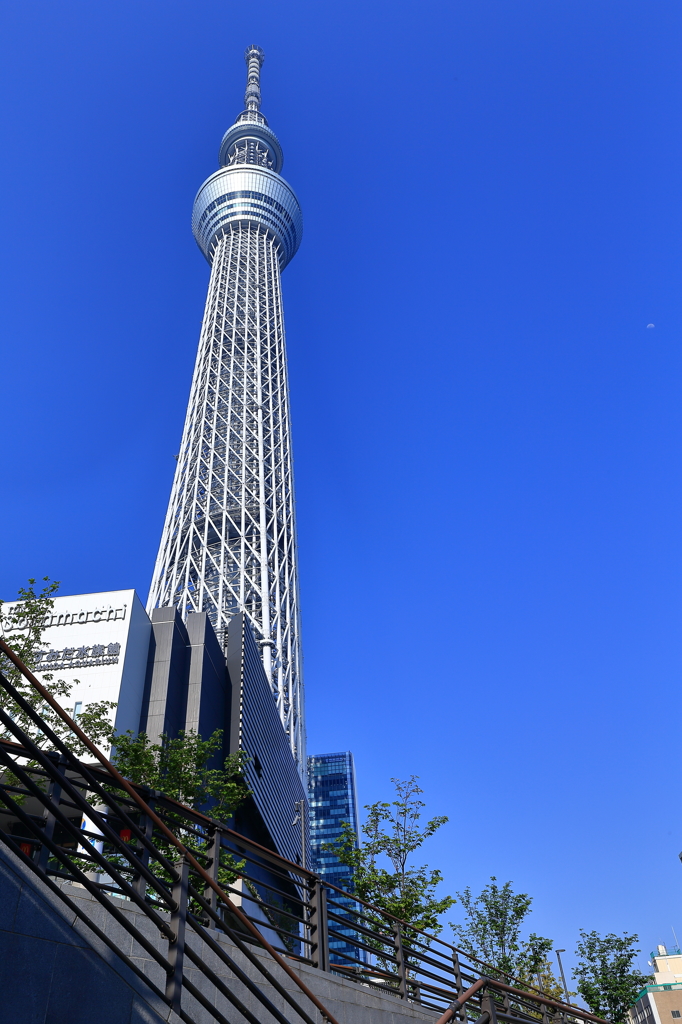 スカイツリー（１）