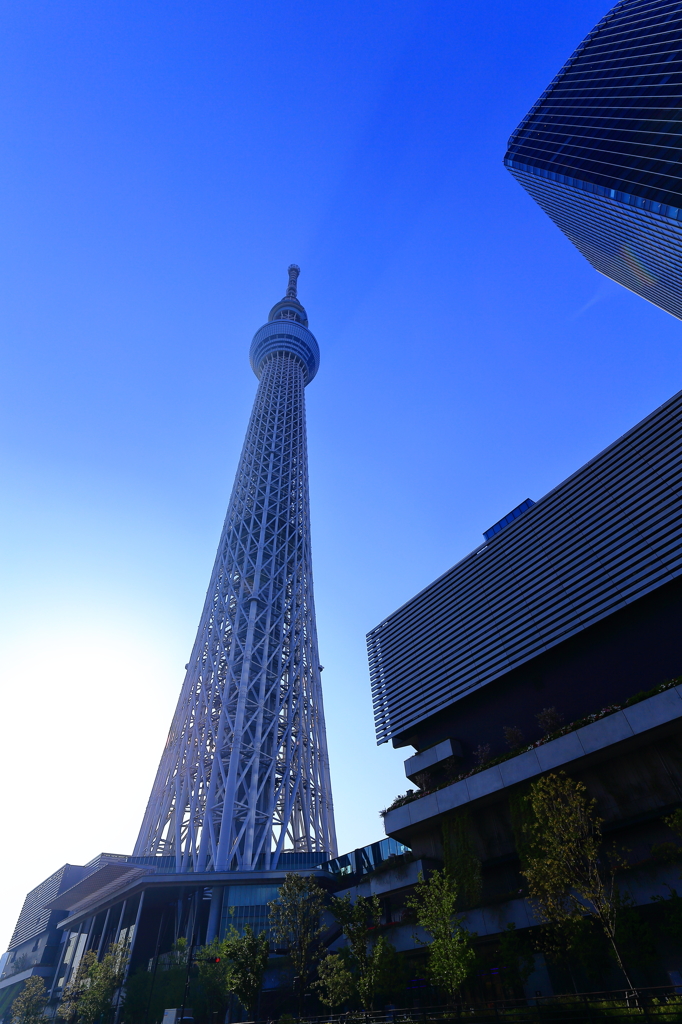 スカイツリー（２）