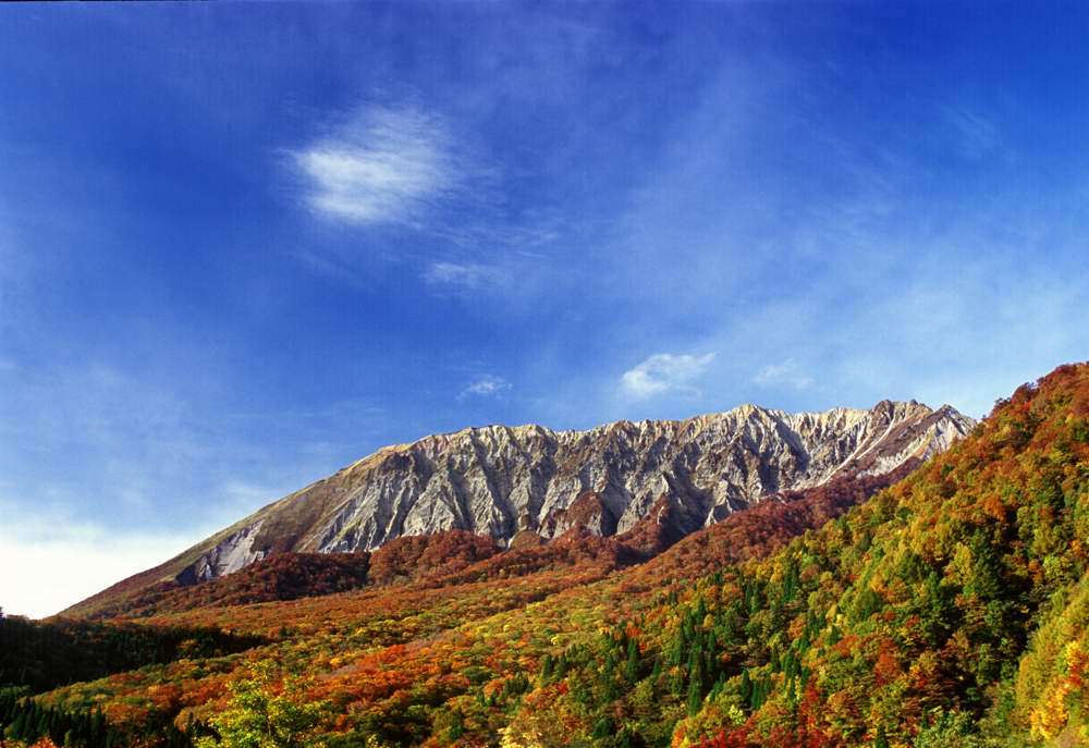 大山紅葉