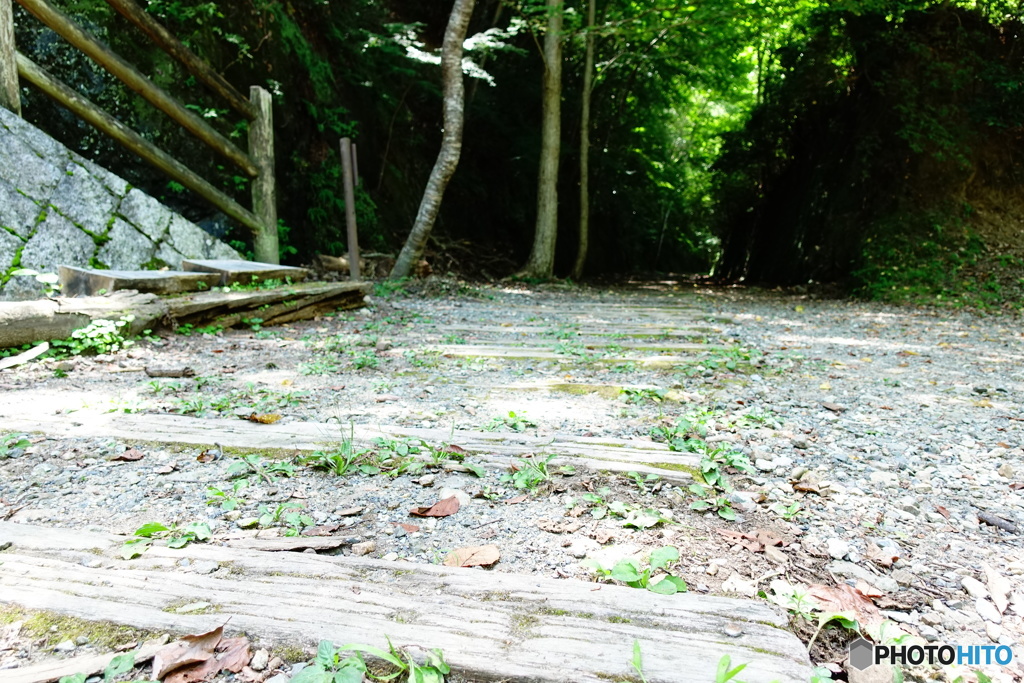 福知山線廃線跡ハイキングコース02