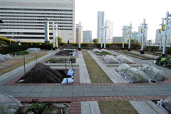 天空の農園
