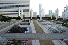 天空の農園