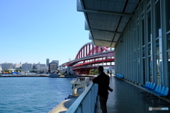 神戸ポートターミナル02