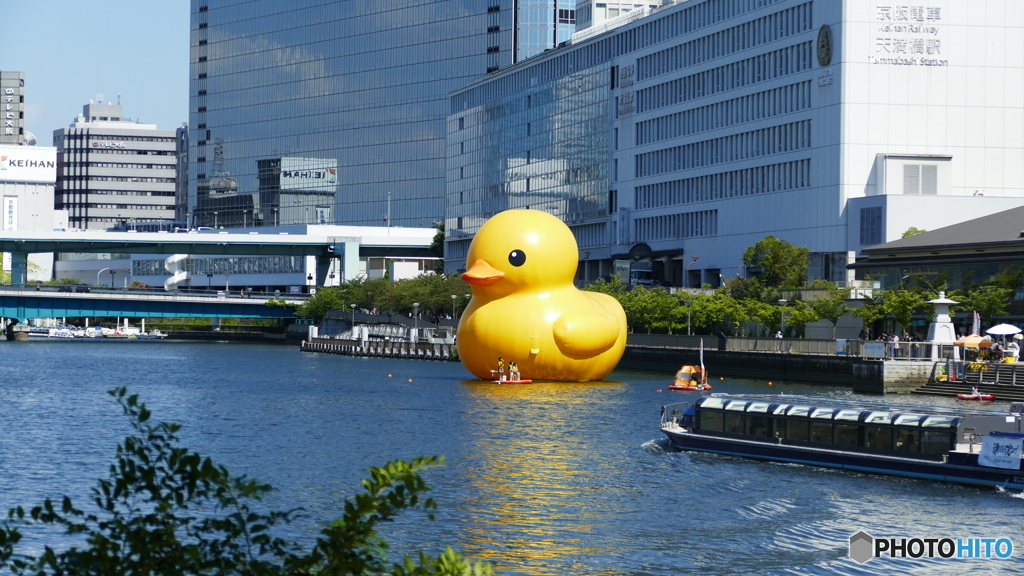 天満橋　ラバーダック０１