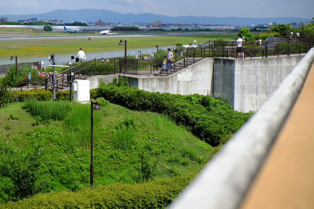 6月の晴れ間に