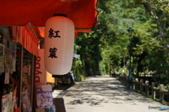 箕面01