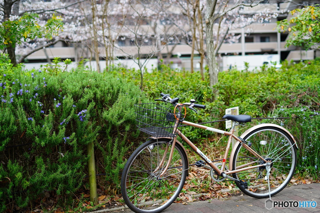 近所の公園02