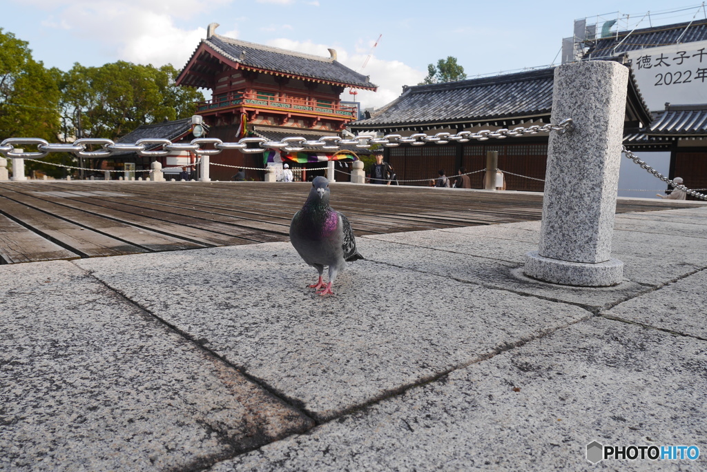 四天王寺04