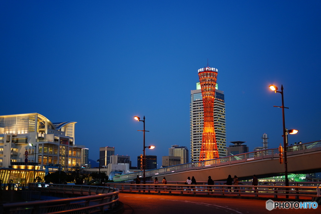 神戸　ポートタワー　夜景
