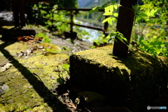 福知山線廃線跡ハイキングコース（秋）04
