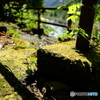 福知山線廃線跡ハイキングコース（秋）04