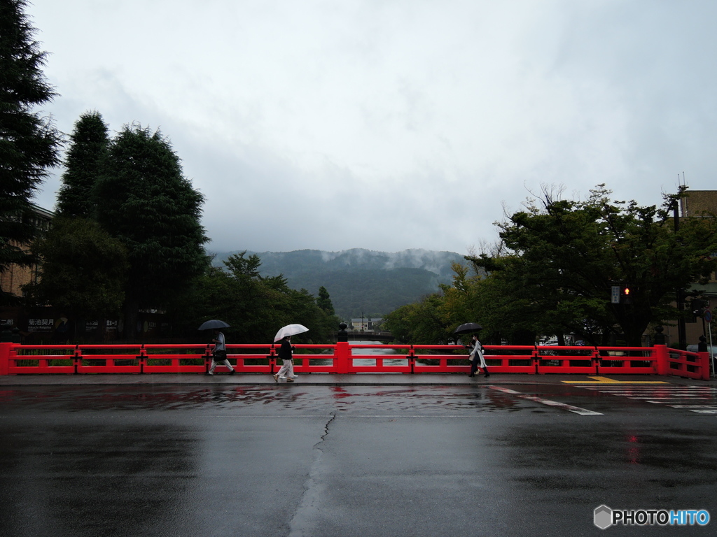 雨の岡崎疎水