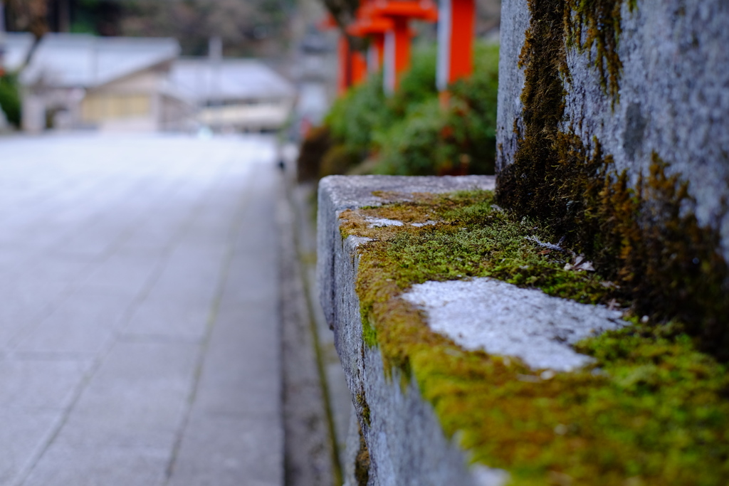 鞍馬の参道