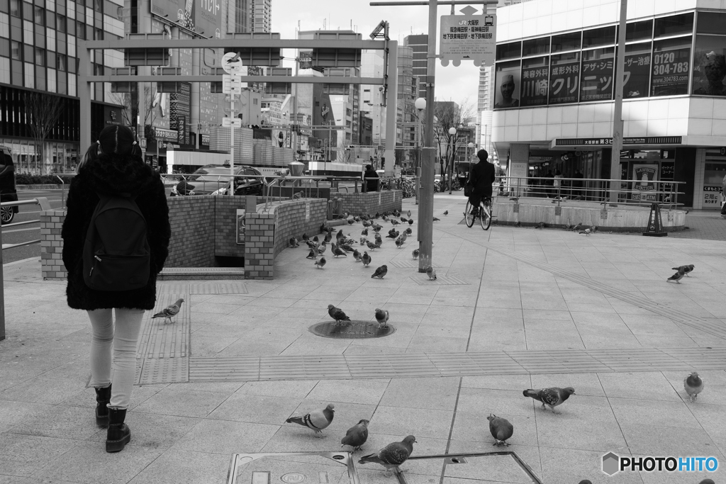大阪駅前第三ビルの前の鳩