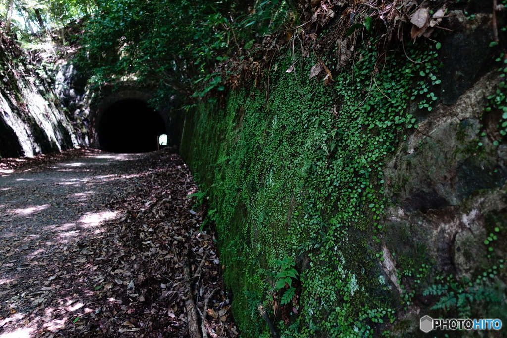 福知山線廃線跡ハイキングコース07