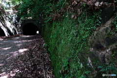 福知山線廃線跡ハイキングコース07