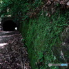 福知山線廃線跡ハイキングコース07