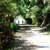 福知山線廃線跡ハイキングコース05
